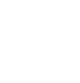 Giugiu opticiens
